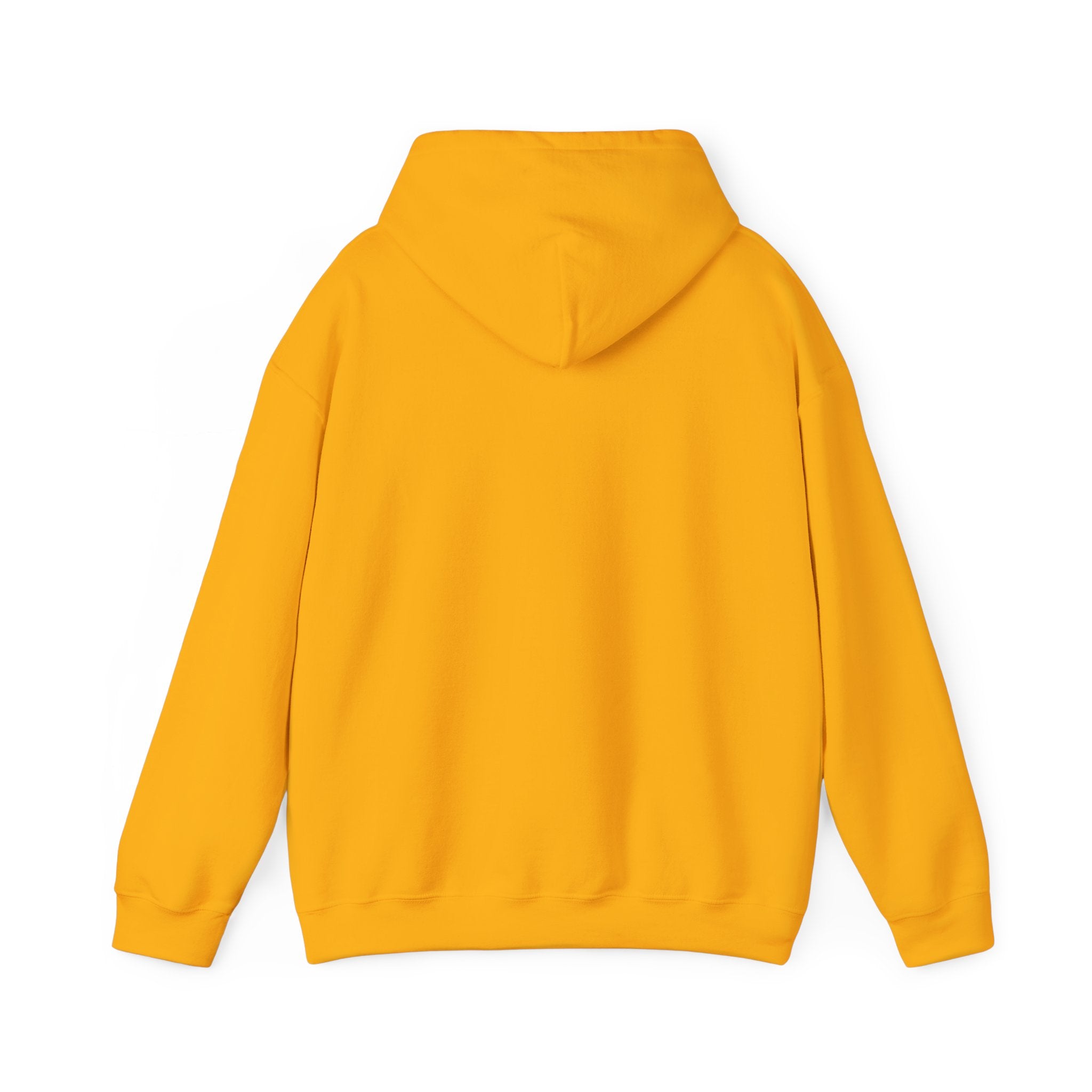 Look What God Has Done Hoodie