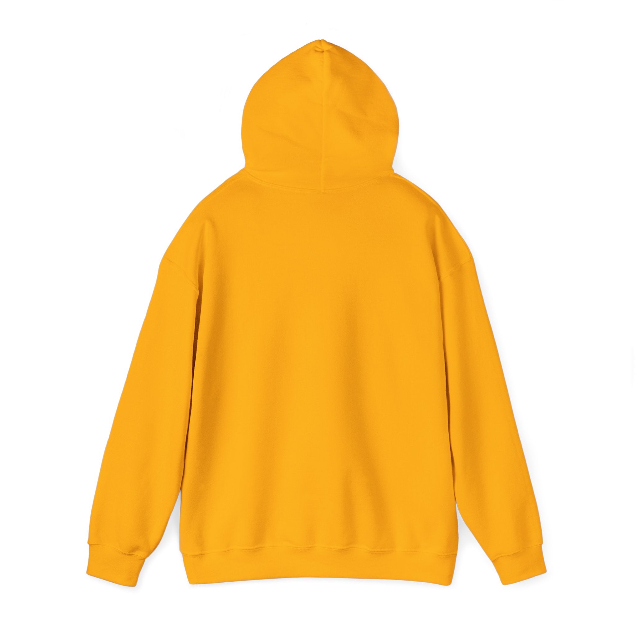 Look What God Has Done Hoodie
