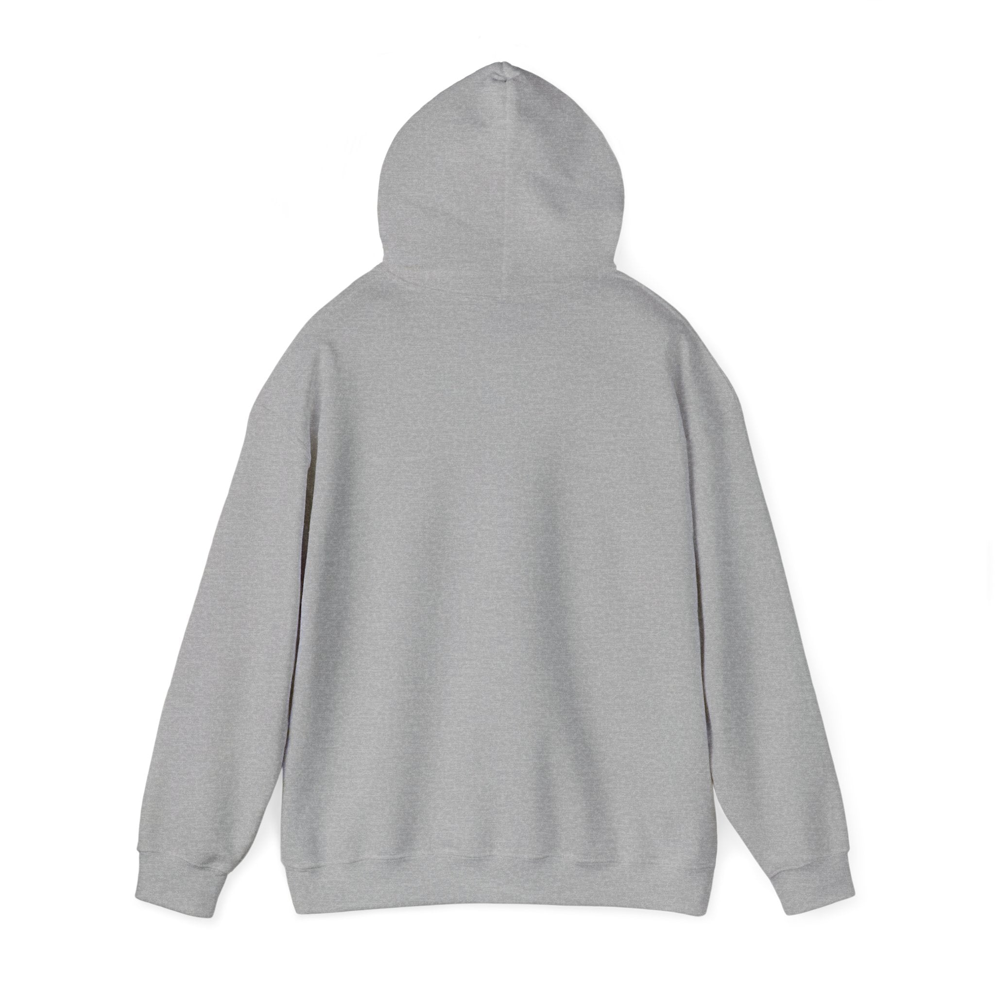Look What God Has Done Hoodie