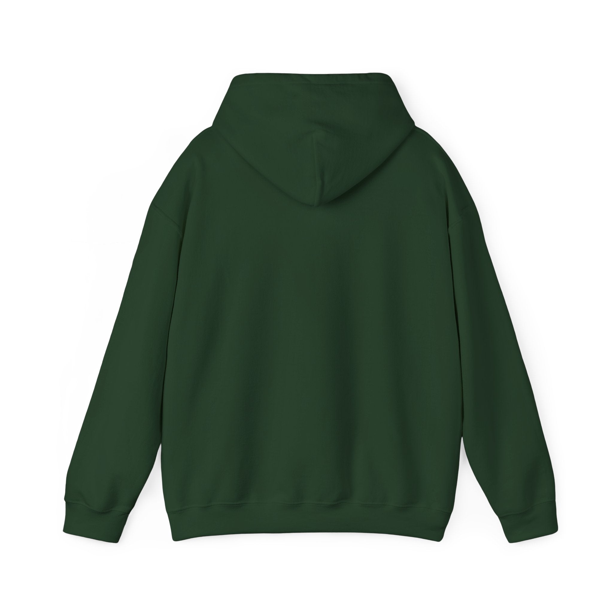 Look What God Has Done Hoodie