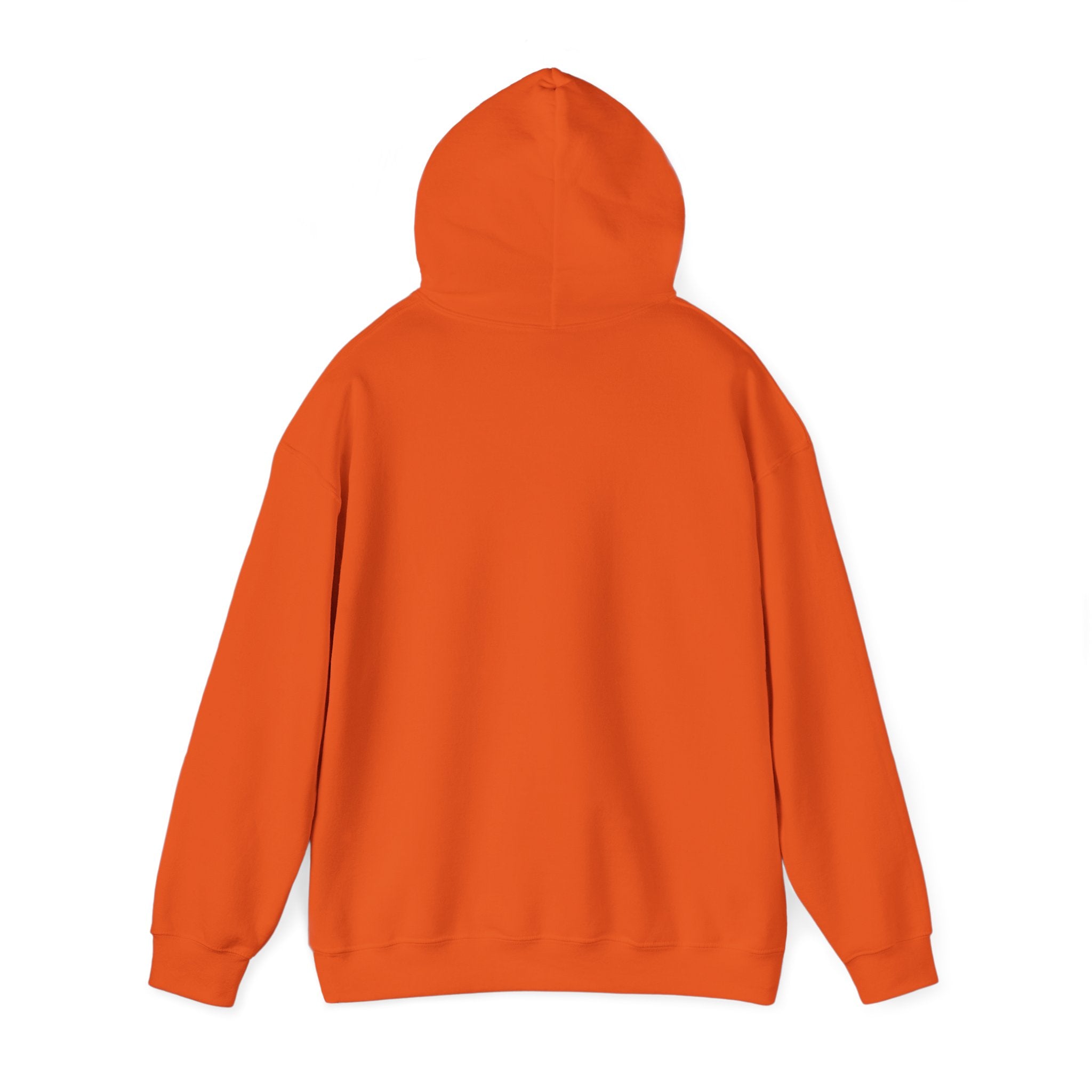 Look What God Has Done Hoodie